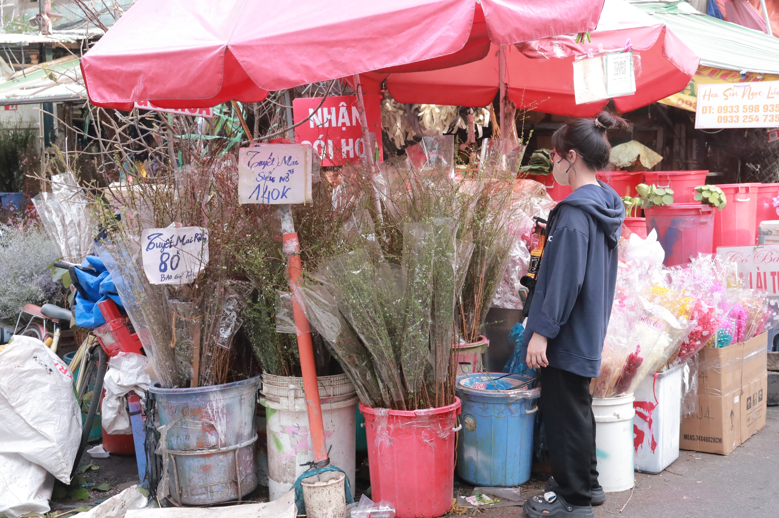 Thị trường hoa Tết tràn ngập tuyết mai, thanh liễu Trung Quốc, giá rẻ bất ngờ- Ảnh 1.