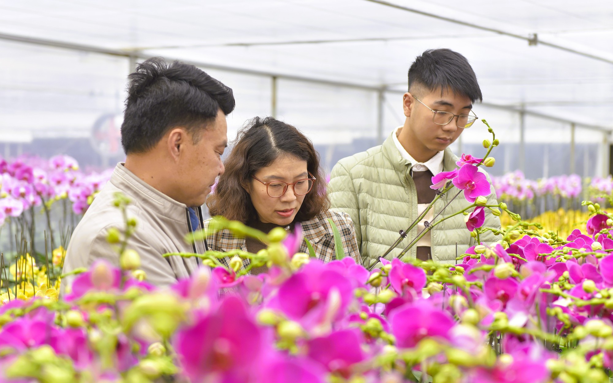 Lan hồ điệp tiền triệu tr&agrave;n ngập vỉa h&egrave; H&agrave; Nội dịp Tết Nguy&ecirc;n đ&aacute;n - Ảnh 2.