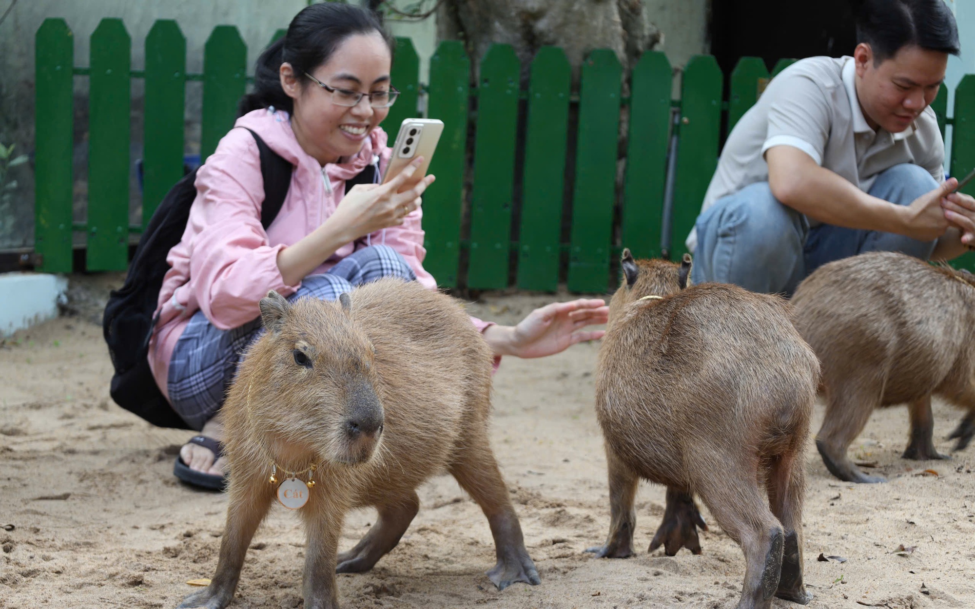 Ngắm 'bộ trưởng ngoại giao trong giới động vật' tại Thảo Cầm Viên Sài Gòn