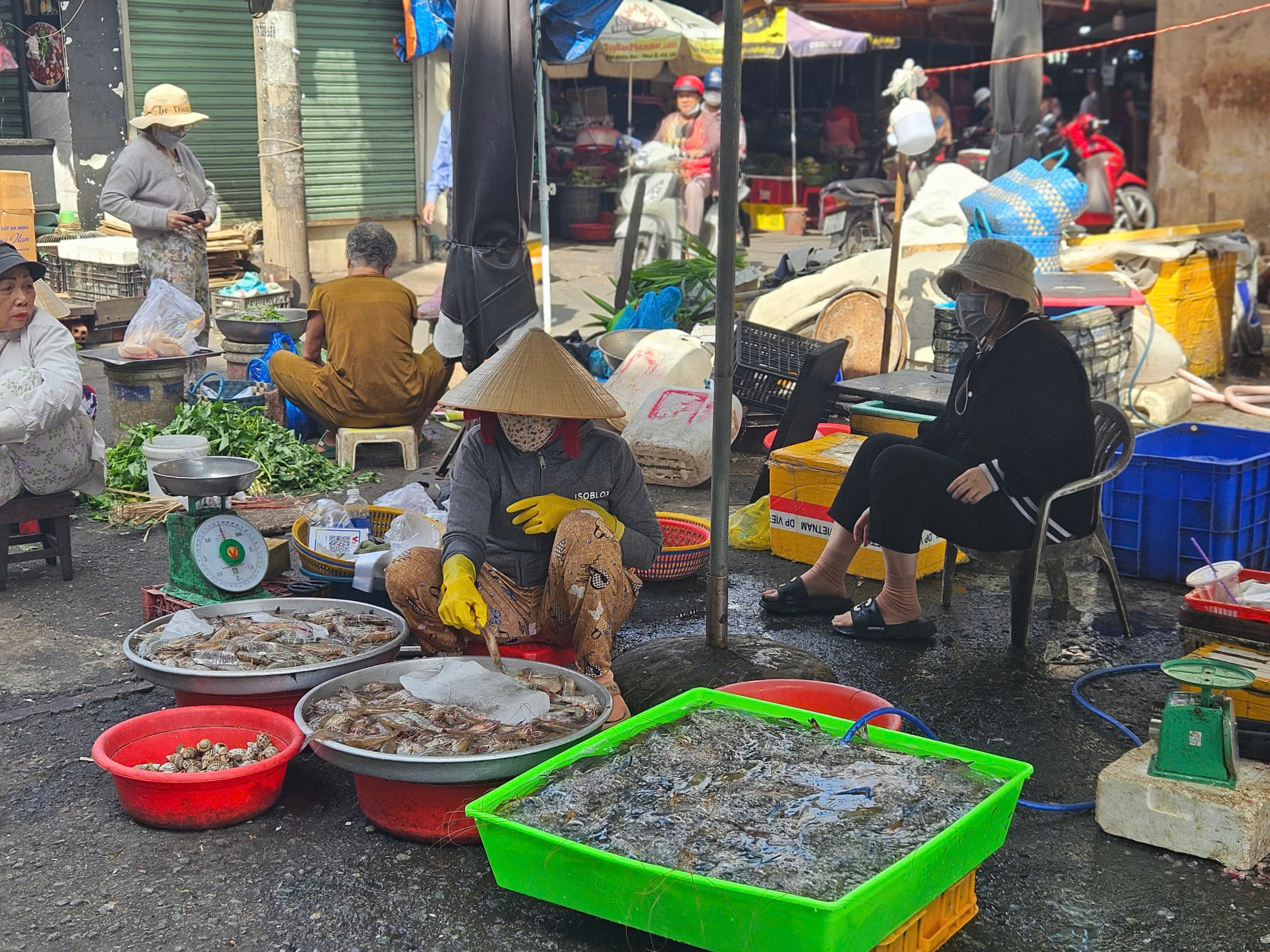 Siêu thị, chợ mùng 2 Tết: Khách "lao vào" quầy thực phẩm tươi sống- Ảnh 8.