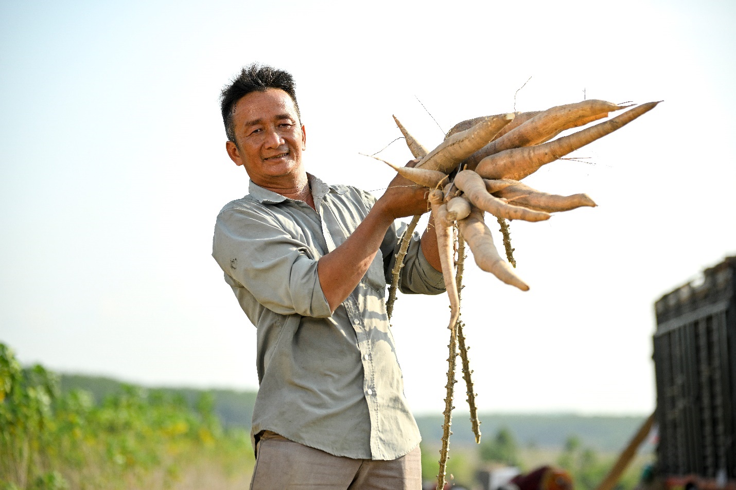 A person holding a bunch of carrots  Description automatically generated