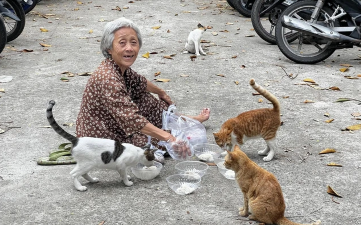 Tài khoản 