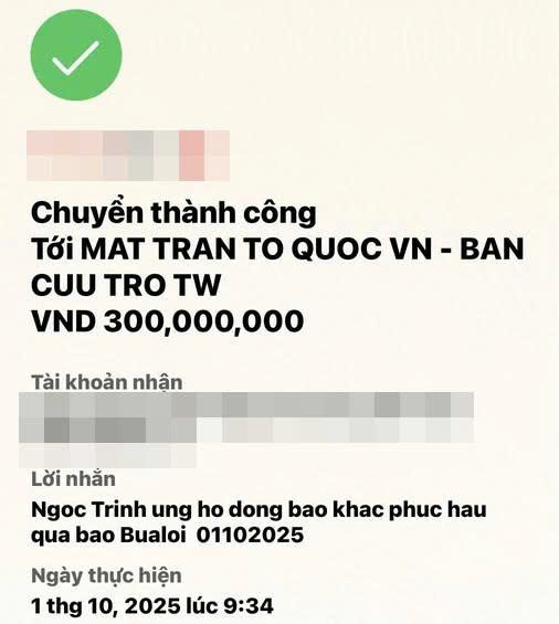 Những nghệ sĩ ủng hộ khắc phục thiệt hại do bão số 10 Bualoi - Ảnh 7.