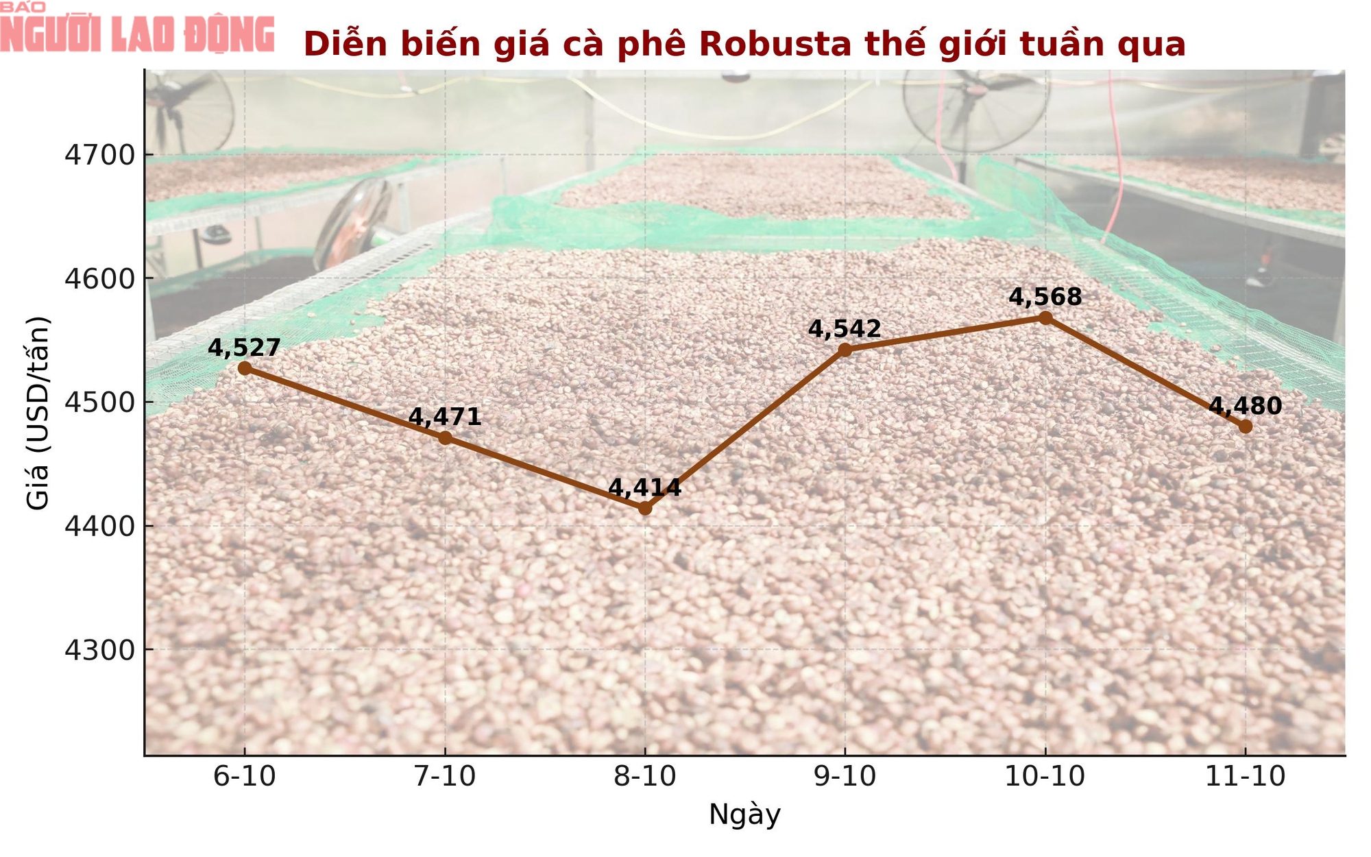 Giá cà phê hôm nay 11-10: Chốt tuần giảm, xuất khẩu cà phê toàn cầu ra sao? - Ảnh 1.