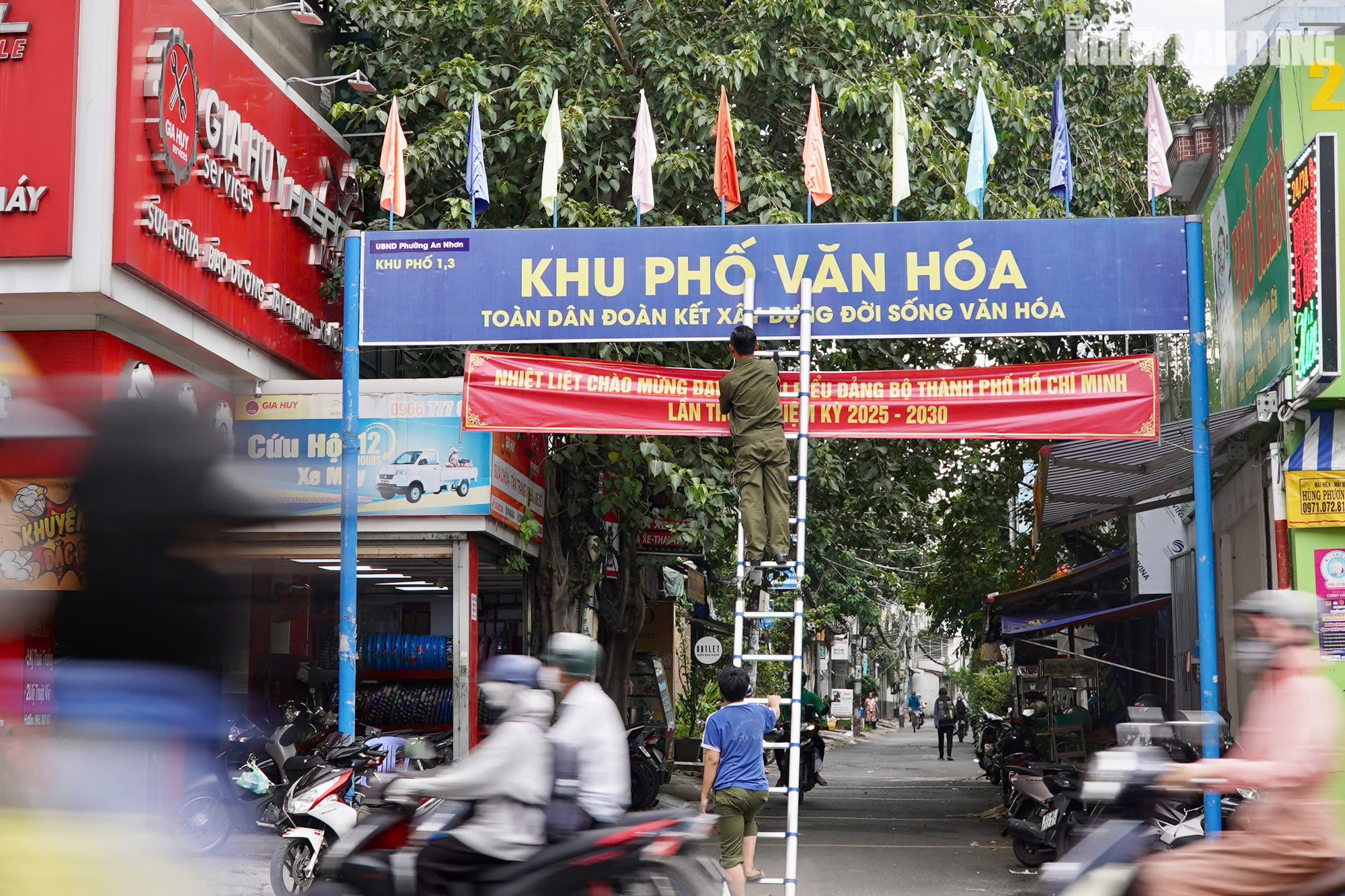  - Ảnh 10.