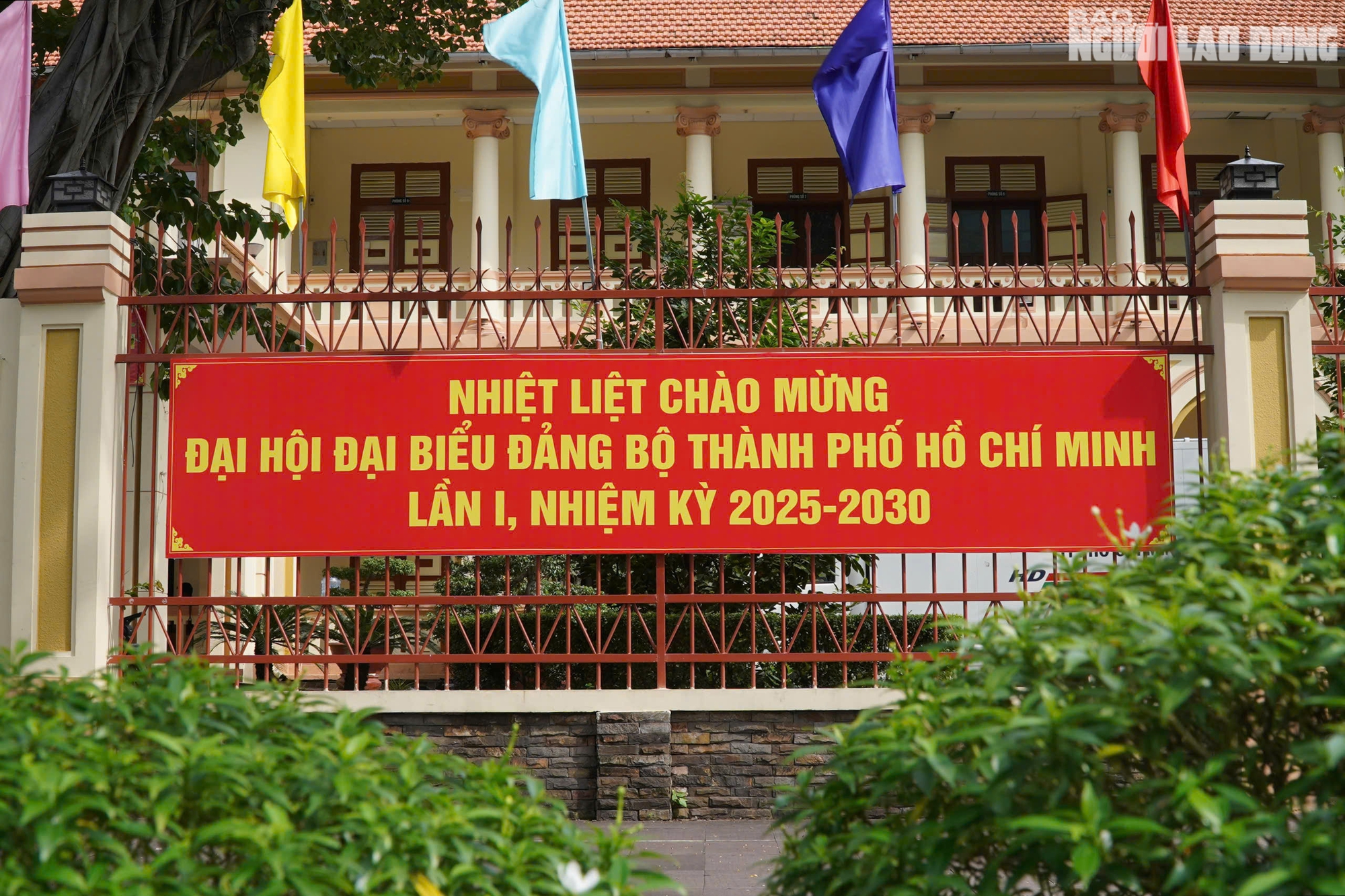  - Ảnh 3.