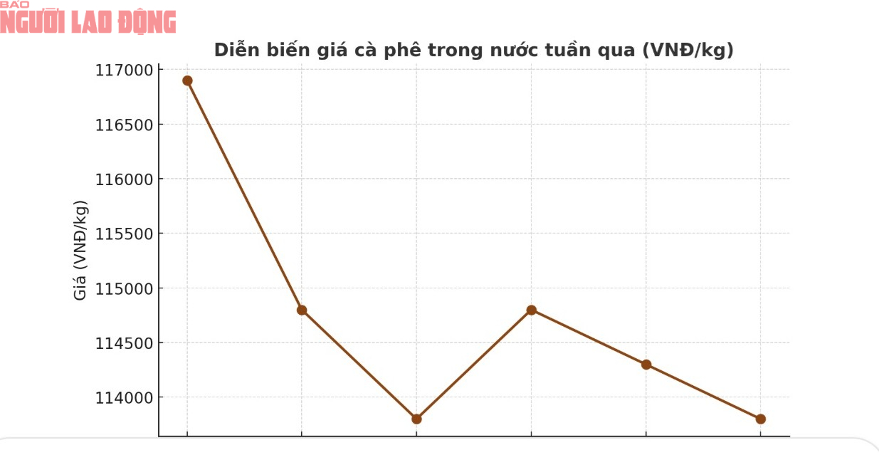 Giá cà phê hôm nay 12 - 10: Xuất khẩu cà phê đạt 9 tỉ USD - Ảnh 3.