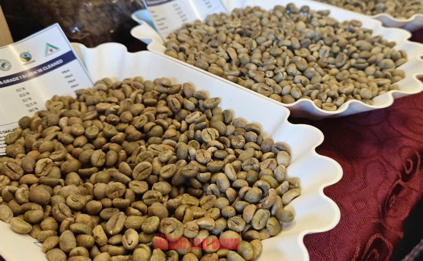 Giá cà phê hôm nay 14 - 10: Tăng mạnh đầu tuần cho Arabica và Robusta - Ảnh 2. Giá cà phê hôm nay 14 - 10: Tăng mạnh đầu tuần cho Arabica và Robusta - Ảnh 2.