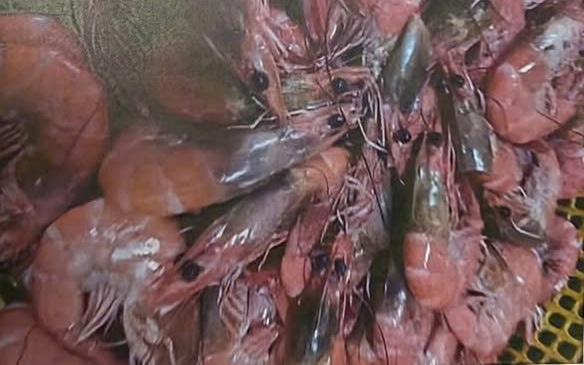 Thực hiện quy trình kỷ luật Hiệu trưởng Trường Tiểu học Trưng Vương - Ảnh 2.