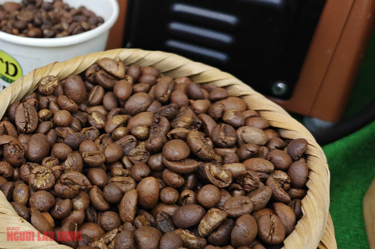 Giá cà phê hôm nay 15 - 10: Arabica tăng mạnh , Robusta giảm sâu - Ảnh 2. Giá cà phê hôm nay 15 - 10: Arabica tăng mạnh , Robusta giảm sâu - Ảnh 2.