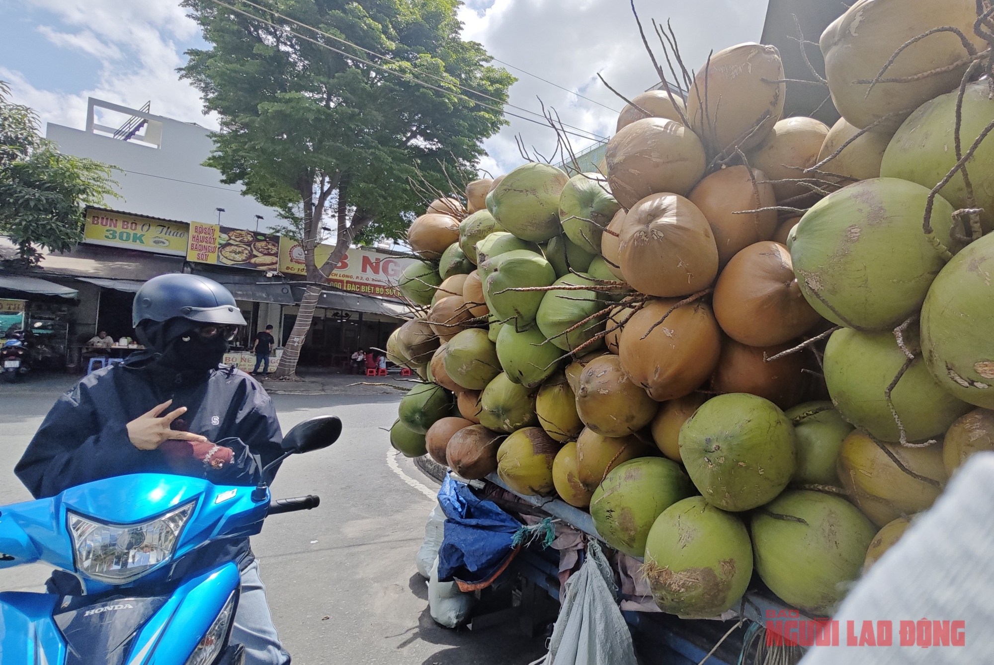 Giá dừa tươi giảm sâu: Nguyên nhân và giải pháp cho thị trường dừa Việt Nam - Ảnh 2. Giá dừa tươi giảm sâu: Nguyên nhân và giải pháp cho thị trường dừa Việt Nam - Ảnh 2.