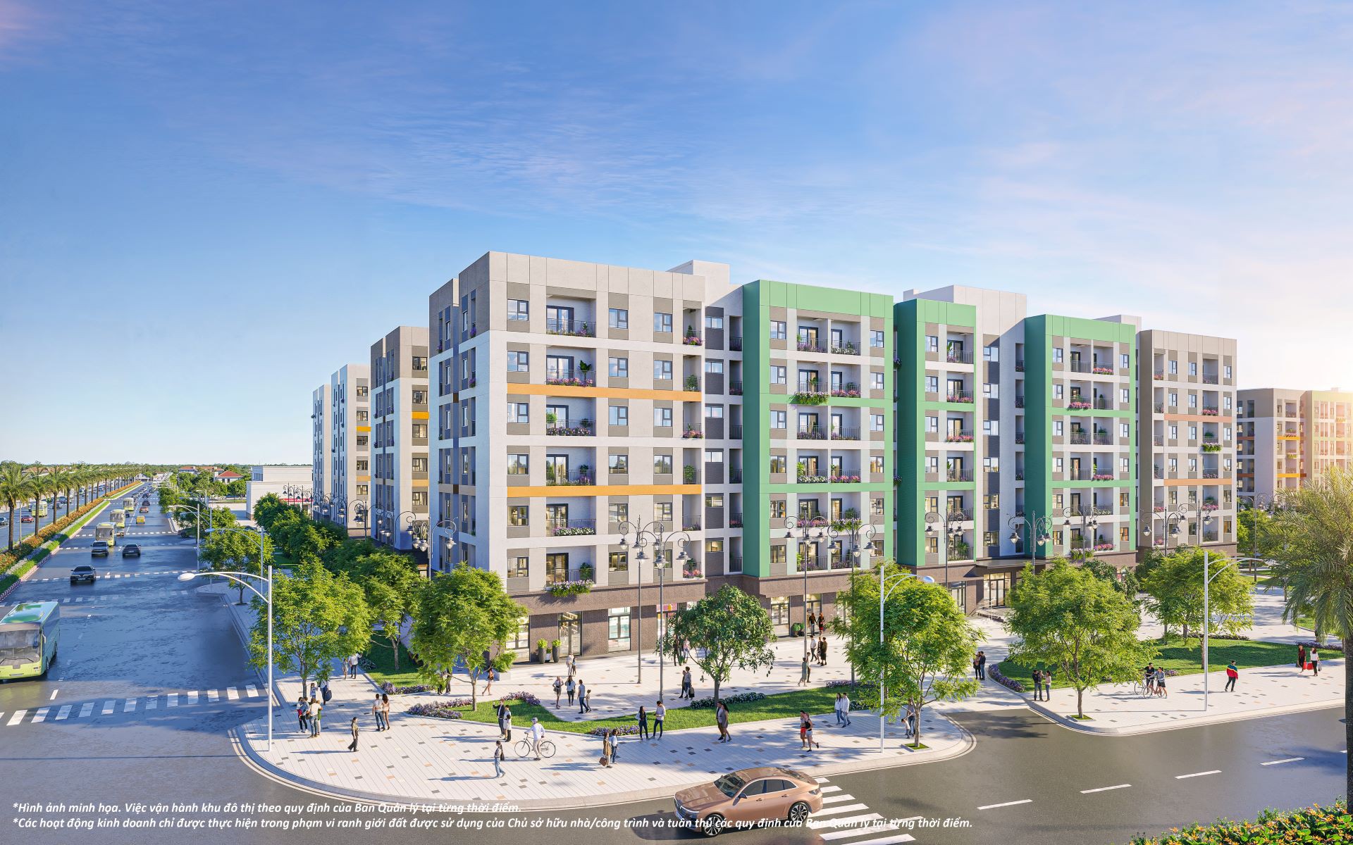 - Ảnh 1.  - Ảnh 1.