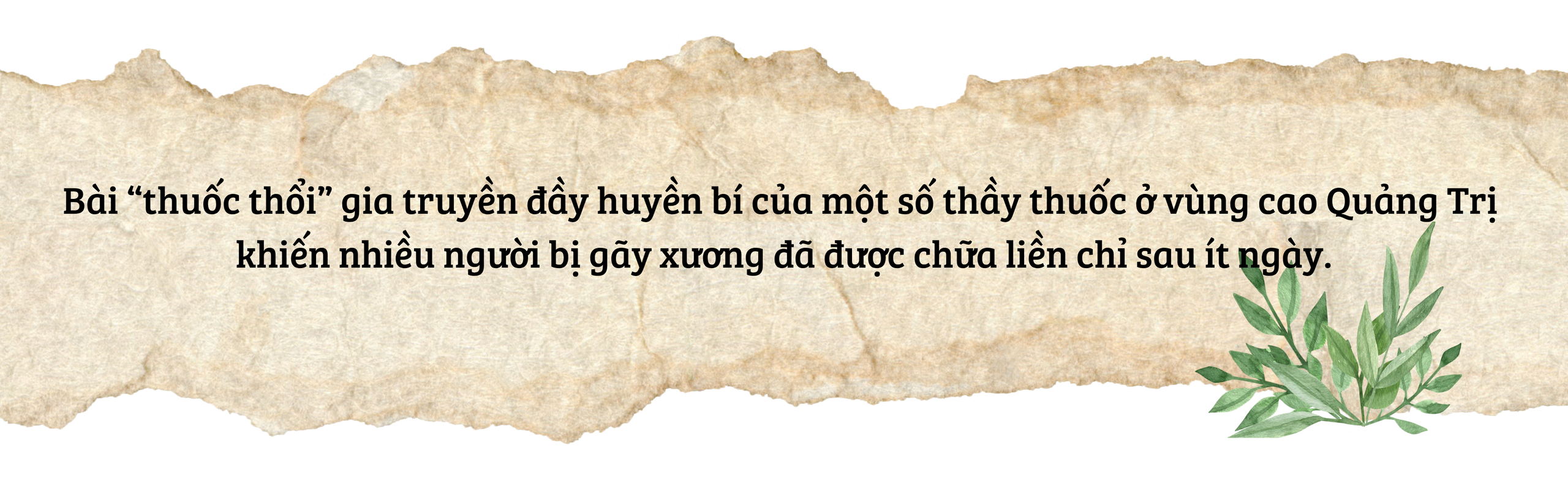 Giải mã phương “thuốc thổi” nối liền xương gãy giữa đại ngàn - Ảnh 1.