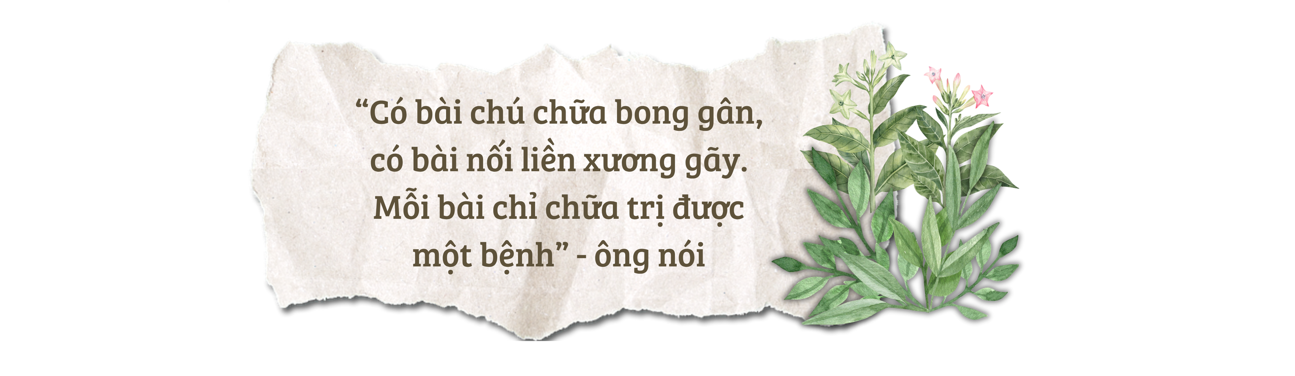 Giải mã phương “thuốc thổi” nối liền xương gãy giữa đại ngàn - Ảnh 6.