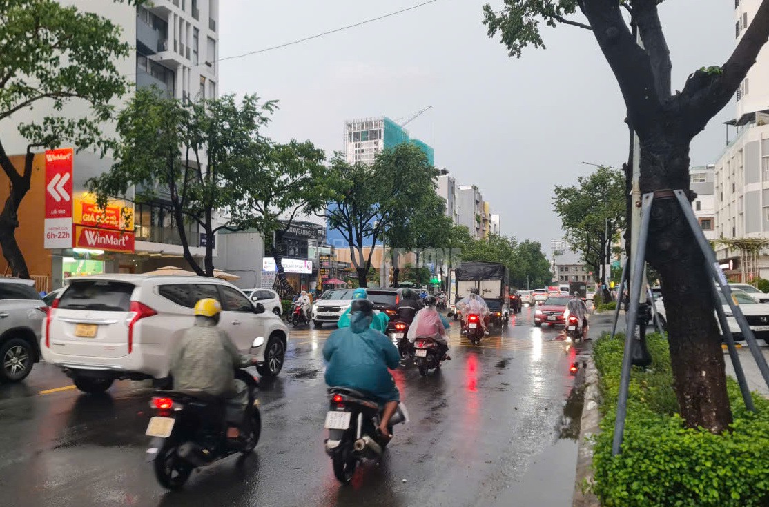 Đà Nẵng mưa lớn diện rộng, cảnh báo nguy cơ lũ quét và ngập úng - Ảnh 3.