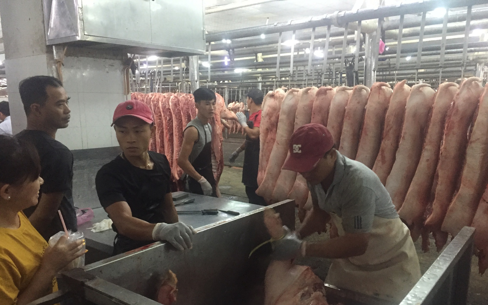 Giá heo hơi hôm nay, 17-10: Lý do khiến giá liên tục lao dốc - Ảnh 1.