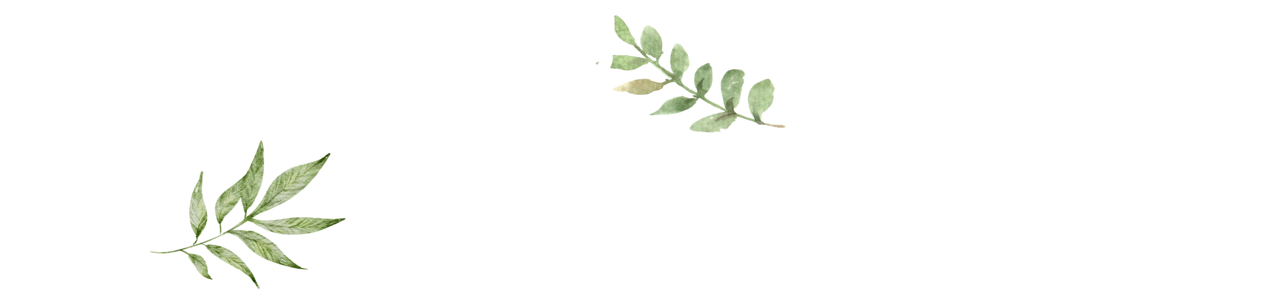 Giải mã phương “thuốc thổi” nối liền xương gãy giữa đại ngàn - Ảnh 2.