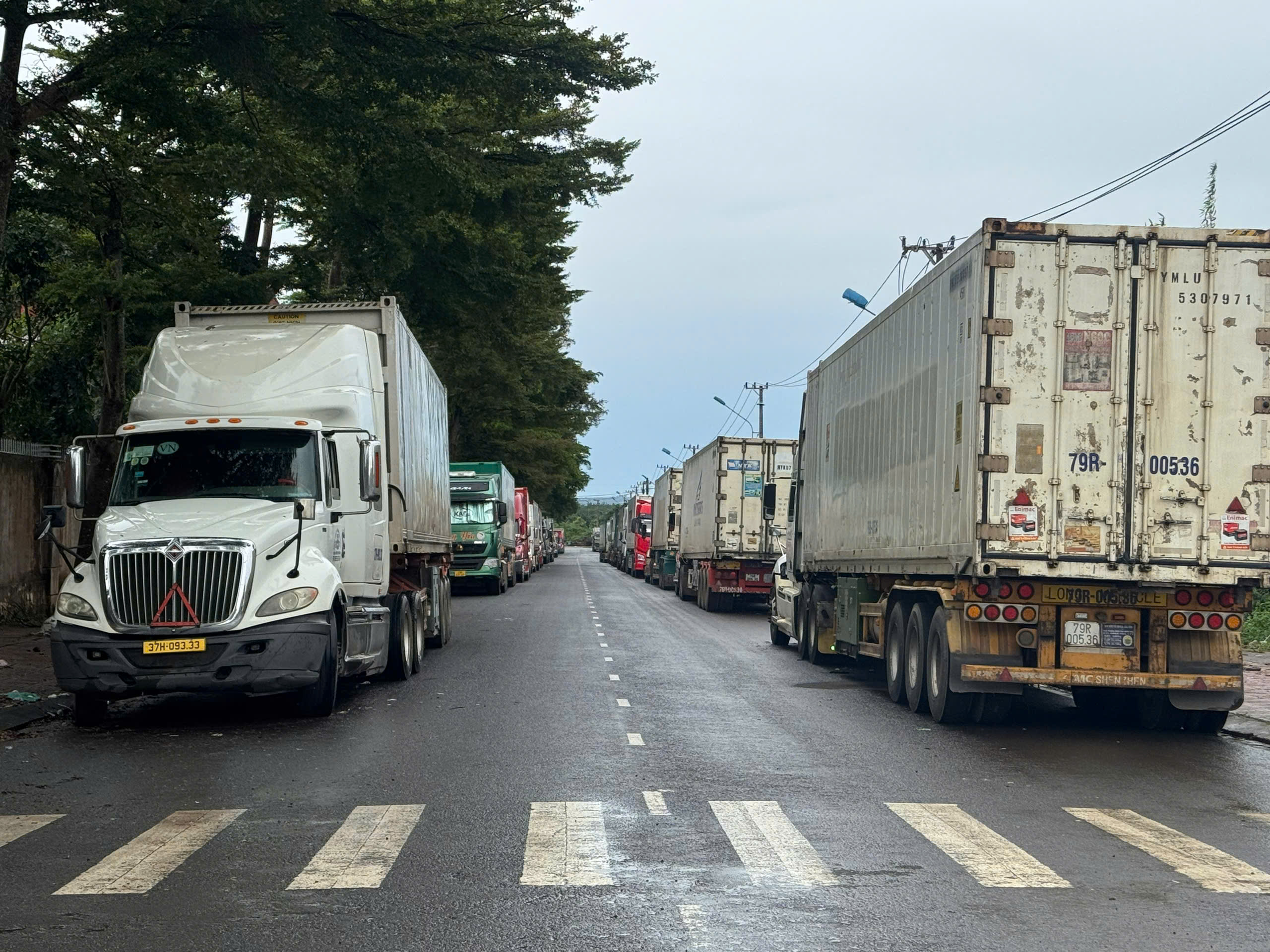 Cảnh tượng hy hữu tại Cụm công nghiệp Tân An , Đắk Lắk với hàng trăm container nông sản - Ảnh 1. Cảnh tượng hy hữu tại Cụm công nghiệp Tân An , Đắk Lắk với hàng trăm container nông sản - Ảnh 1.