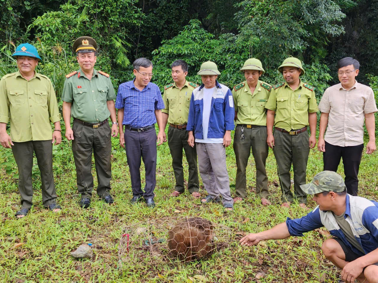 Tưởng trộm gà, ai ngờ “vị khách lạ” quý hiếm nặng 30kg - Ảnh 1. Tưởng trộm gà, ai ngờ “vị khách lạ” quý hiếm nặng 30kg - Ảnh 1.