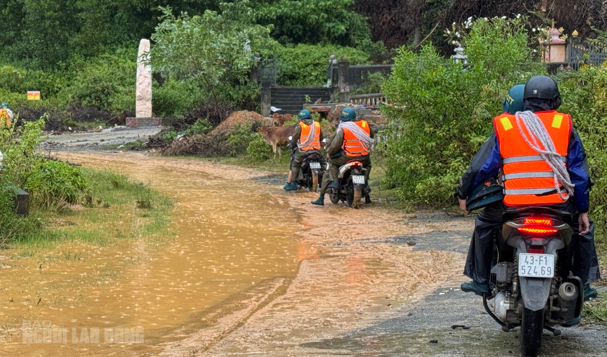 Nguy cơ sạt lở tại nghĩa trang Hòa Sơn Đà Nẵng sau mưa lớn kéo dài - Ảnh 1. Nguy cơ sạt lở tại nghĩa trang Hòa Sơn Đà Nẵng sau mưa lớn kéo dài - Ảnh 1.