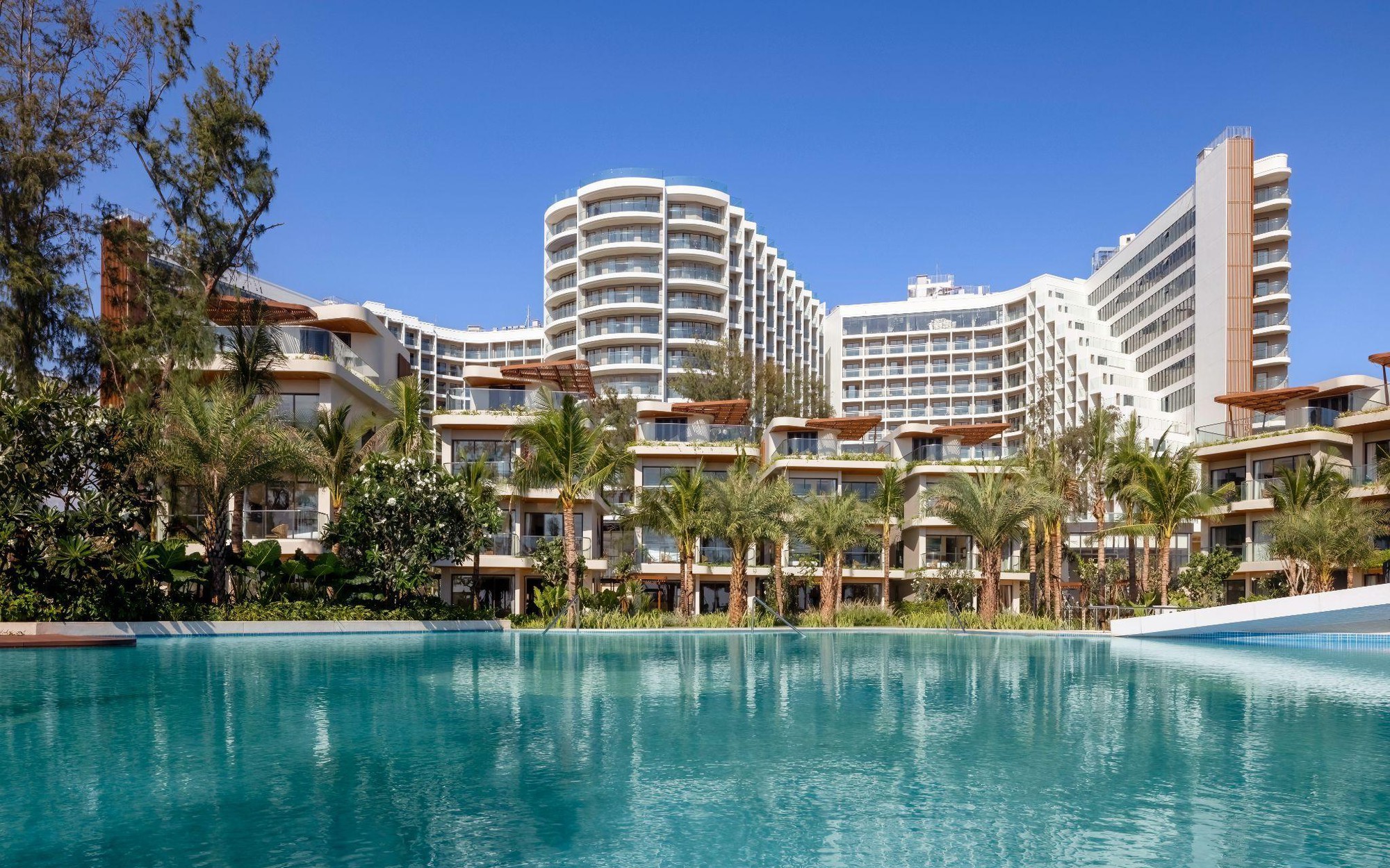 - Ảnh 2. - Ảnh 2.