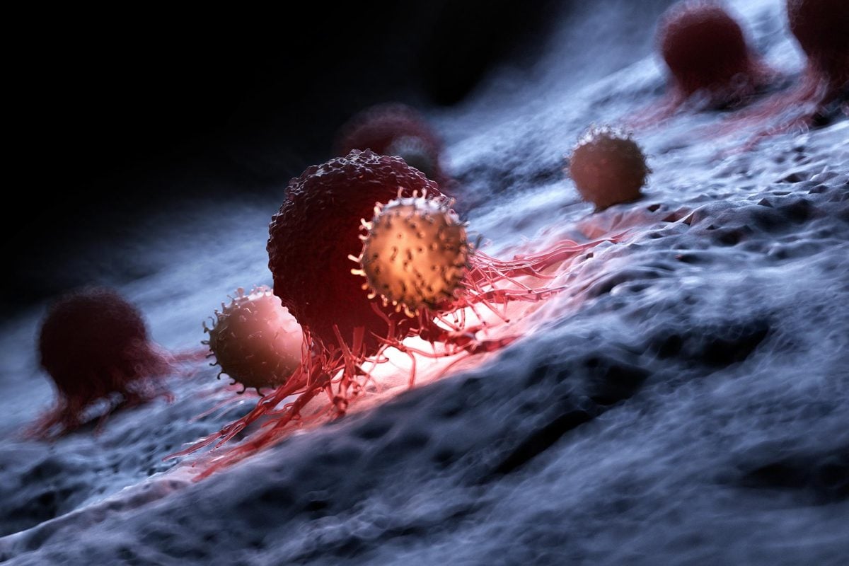 Đột phá: Dùng gene virus lồng trong vi khuẩn tiêu diệt ung thư - Ảnh 1.