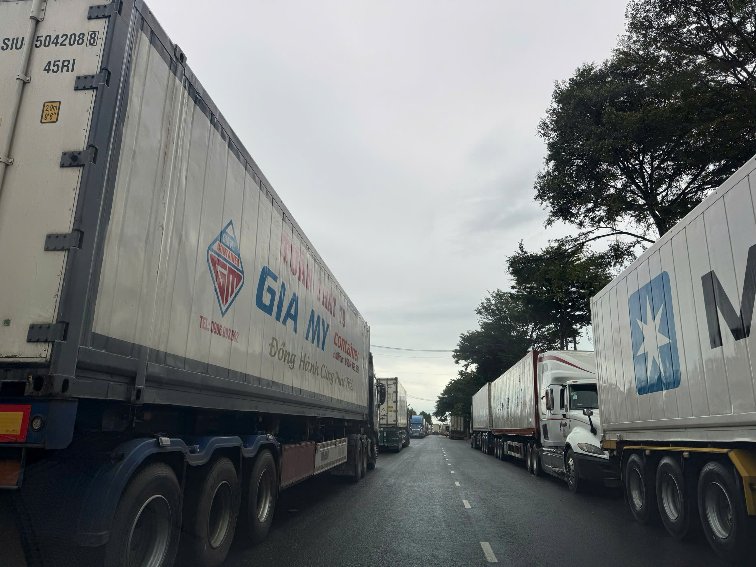 Hàng ngàn container sầu riêng ùn ứ do kiểm nghiệm dư lượng hóa chất tạm ngừng - Ảnh 1. Hàng ngàn container sầu riêng ùn ứ do kiểm nghiệm dư lượng hóa chất tạm ngừng - Ảnh 1.