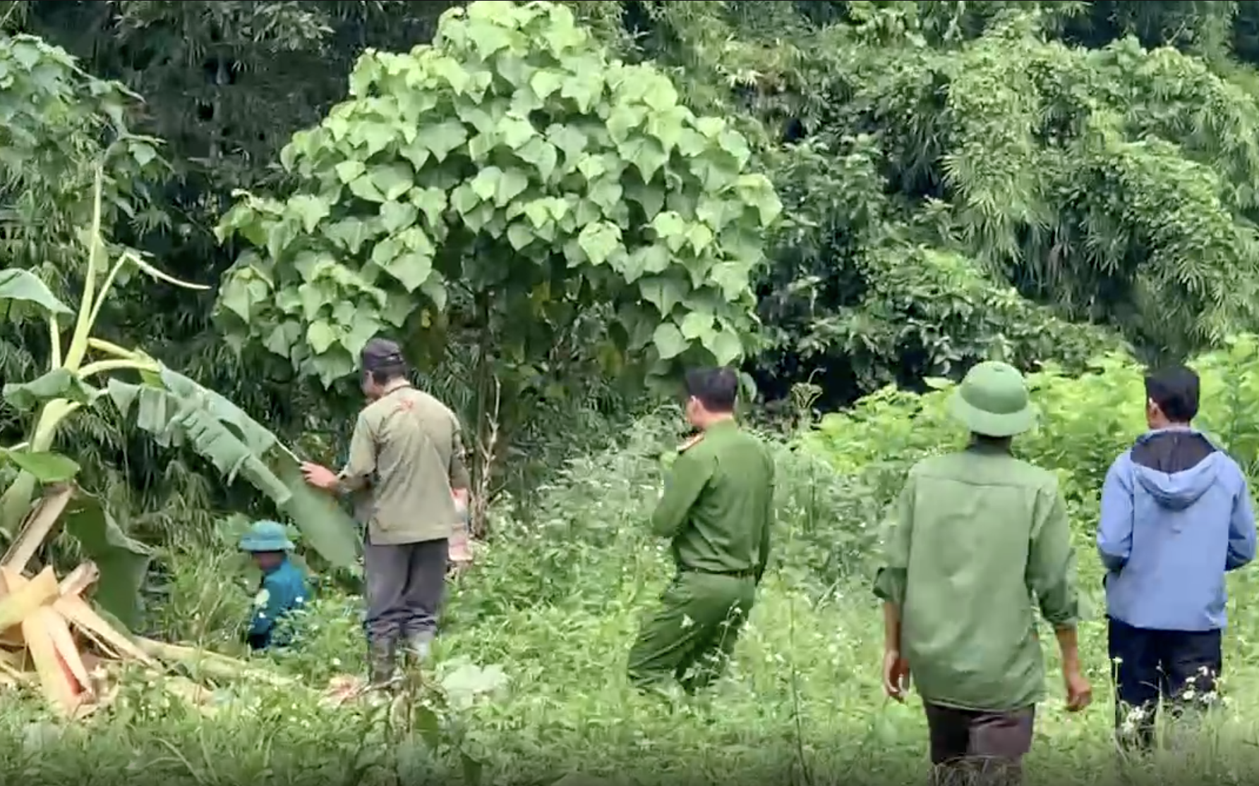 Xung đột giữa voi và người tại Đắk Wil gây lo lắng cho dân địa phương - Ảnh 4.