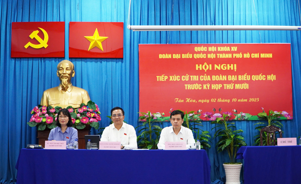 Nhiều kiến nghị sát sườn từ cử tri- Ảnh 1.