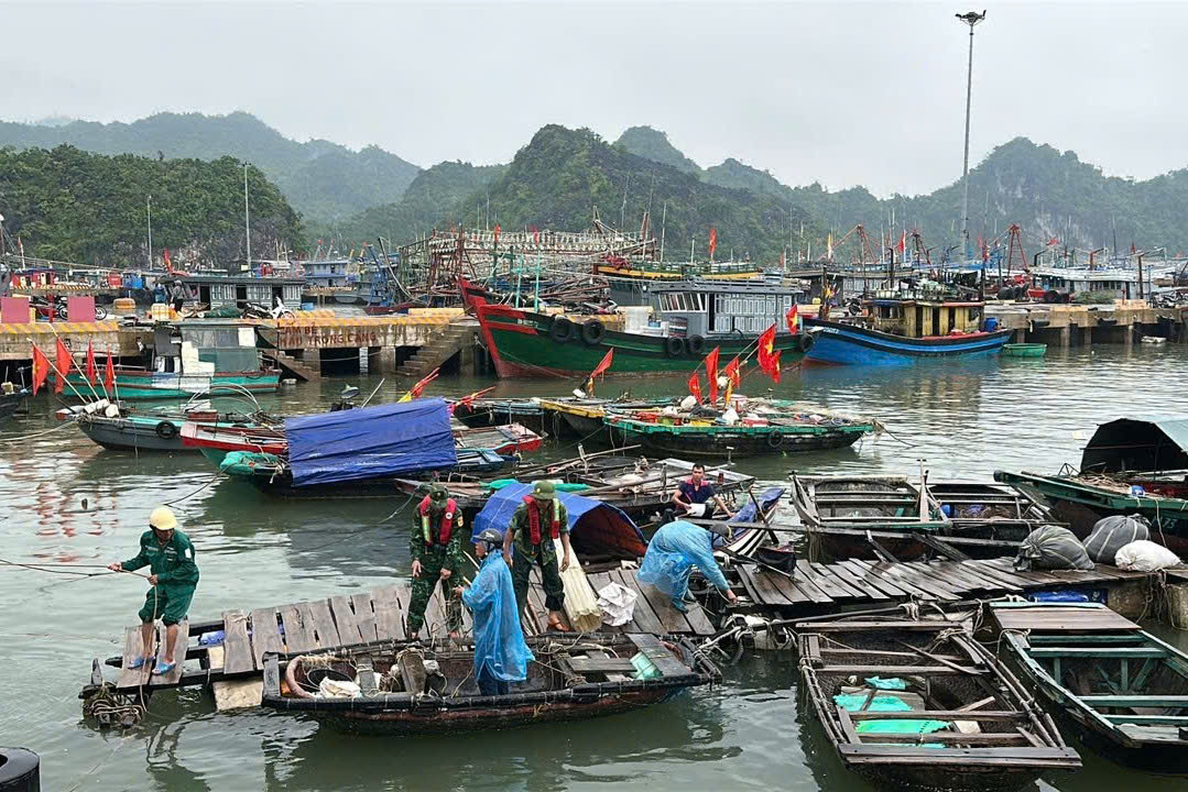 Hải Phòng chủ động ứng phó với bão số 12 để bảo vệ người dân và phương tiện - Ảnh 1.
