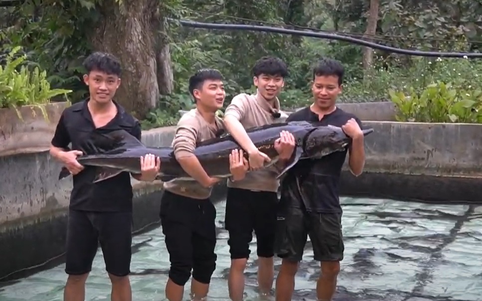Ca sĩ Đức Phúc tham gia đấu giá cá tầm lớn nhất Lai Châu, bất ngờ kết quả trúng giá - Ảnh 3.