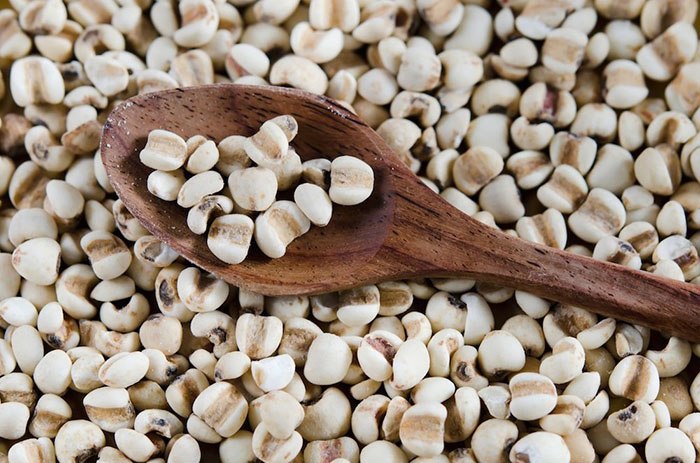 Thu hồi dược liệu ý dĩ không đạt chất lượng - Ảnh 1.