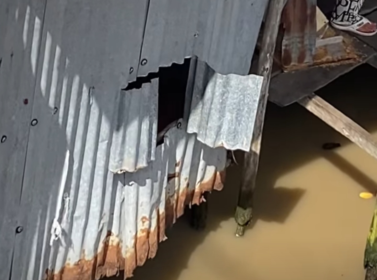 Bé trai 4 tháng tuổi nghi rơi xuống sông mất tích khi đang ngủ ở An Giang - Ảnh 4.