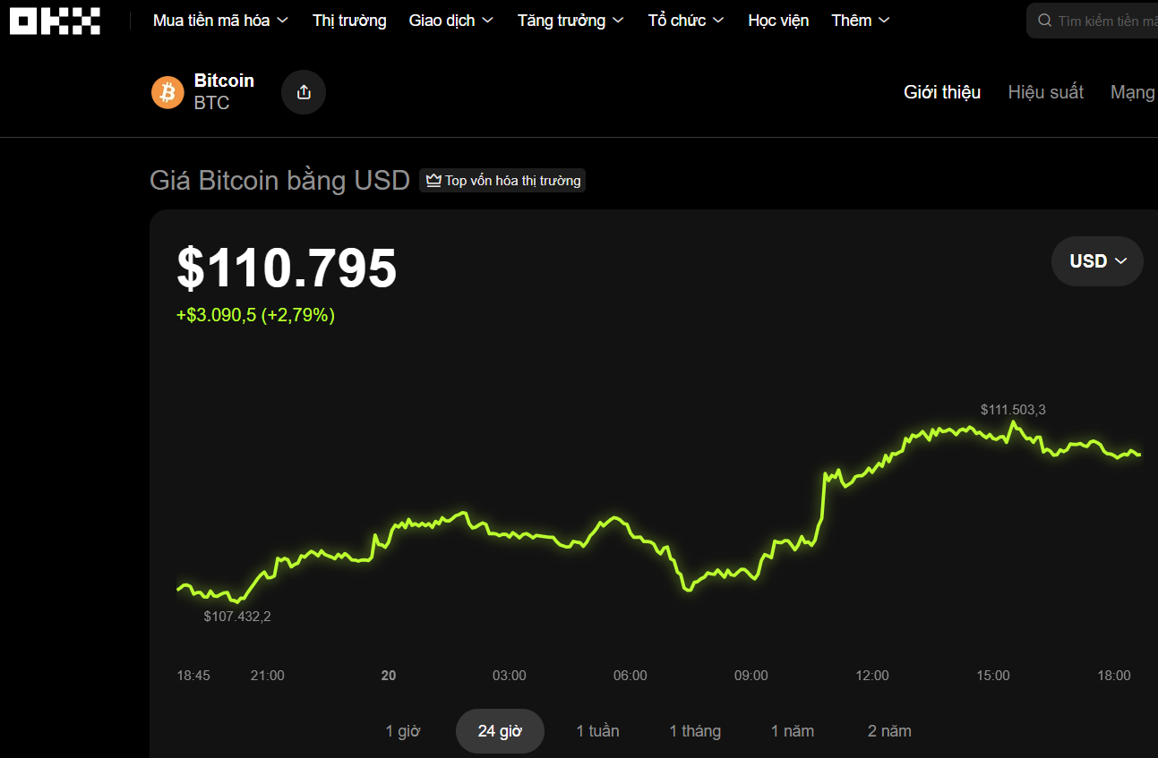 Thị trường tiền số hôm nay, 20-10: Bitcoin đã lấy lại được đà phục hồi? - Ảnh 1.