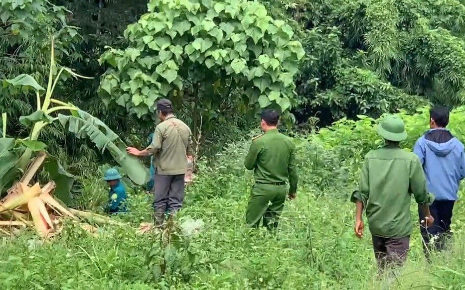 VIDEO: Voi rừng đi dạo trên quốc lộ, phá rào vào trường học - Ảnh 1.