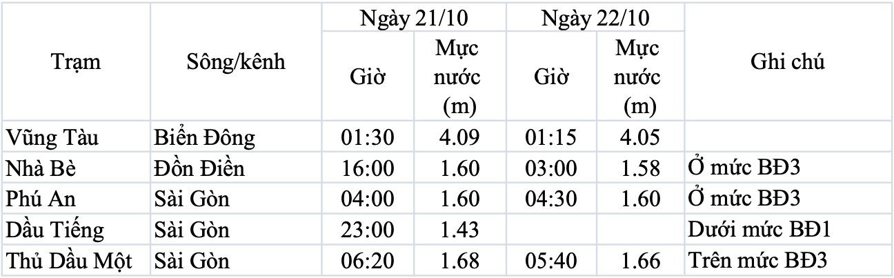Cảnh báo triều cường gây ngập ở TP HCM - Ảnh 2.