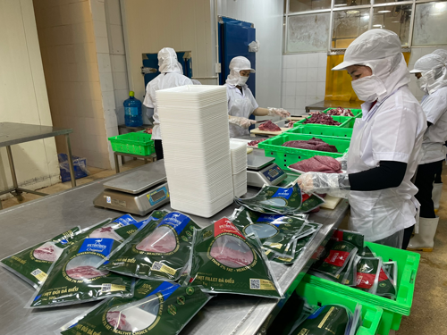 Khánh Hòa "biến" đà điểu thành đặc sản - Ảnh 2.