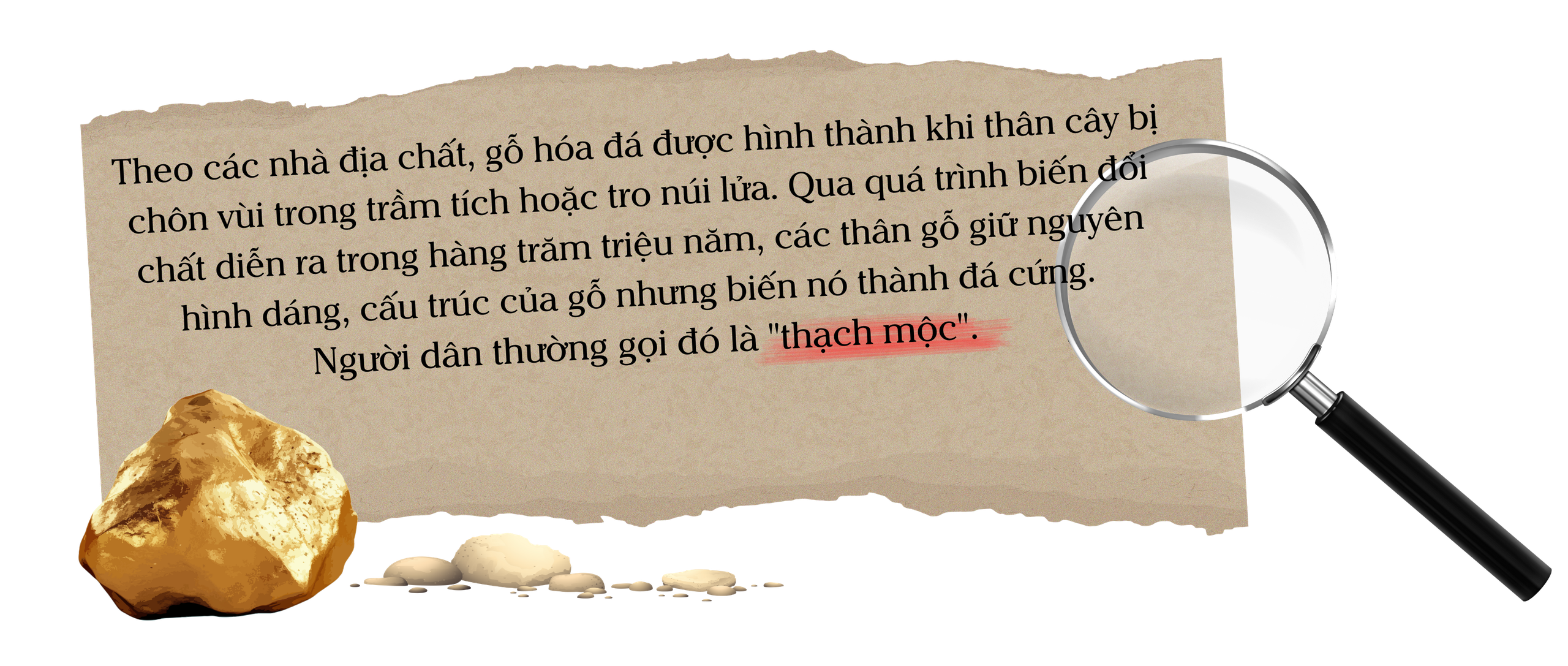 Kho báu trong lòng núi Chư A Thai - Ảnh 4.