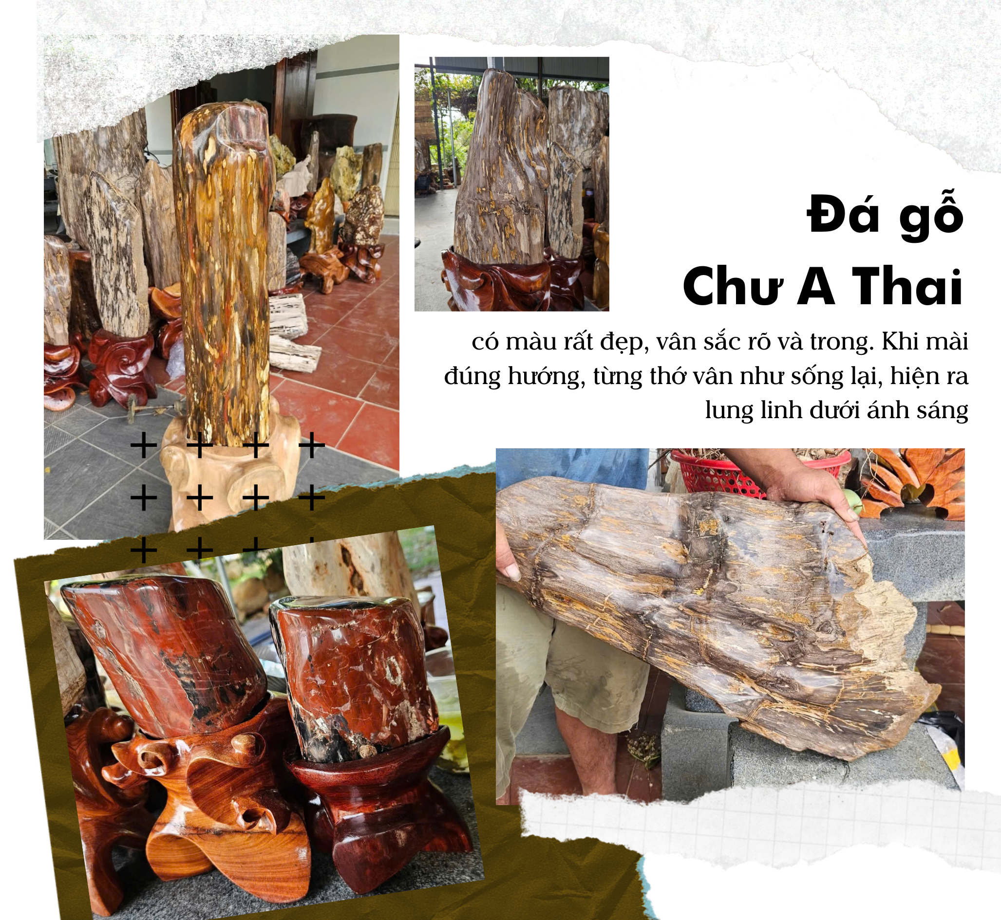 Kho báu trong lòng núi Chư A Thai - Ảnh 14.
