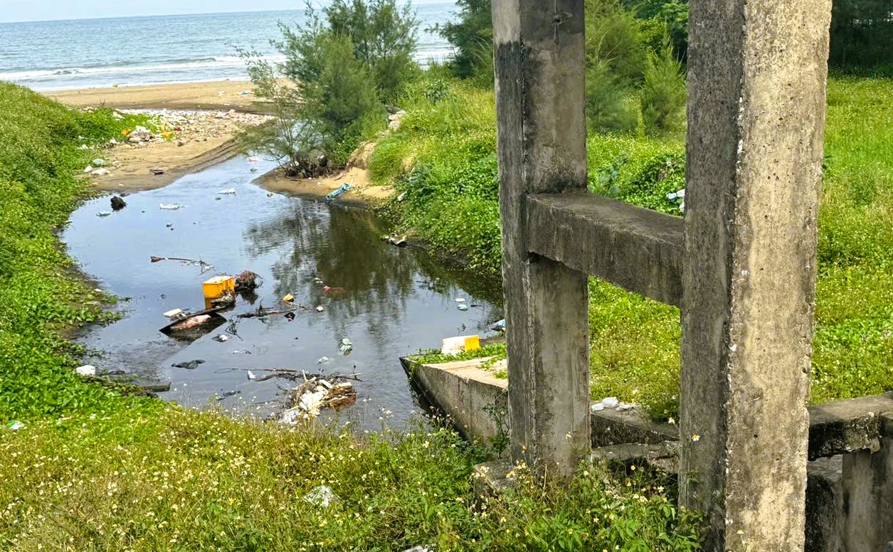 Thanh Hóa chỉ đạo chấm dứt tình trạng nuôi tôm trái phép, gây ô nhiễm môi trường - Ảnh 2.