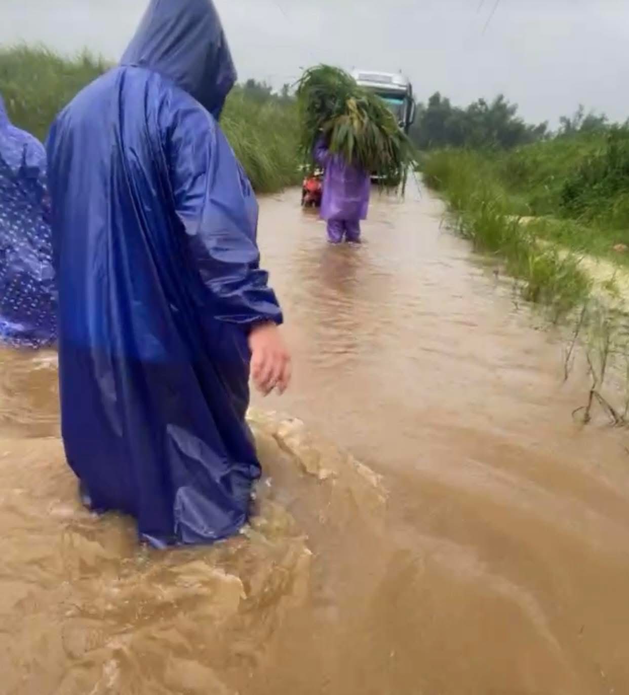 Thủy điện Sông Tranh 2 xả lũ lớn , Đà Nẵng lo ngập sâu - Ảnh 4. Thủy điện Sông Tranh 2 xả lũ lớn , Đà Nẵng lo ngập sâu - Ảnh 4.