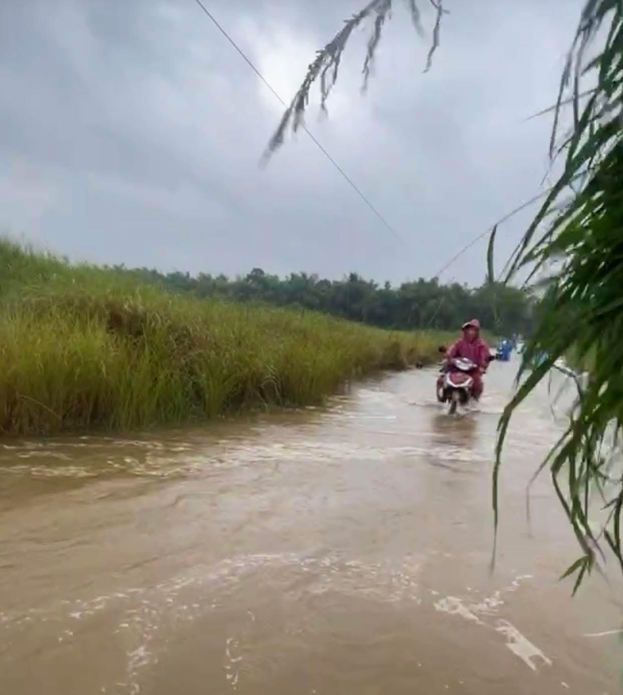 Thủy điện Sông Tranh 2 xả lũ lớn , Đà Nẵng lo ngập sâu - Ảnh 3. Thủy điện Sông Tranh 2 xả lũ lớn , Đà Nẵng lo ngập sâu - Ảnh 3.