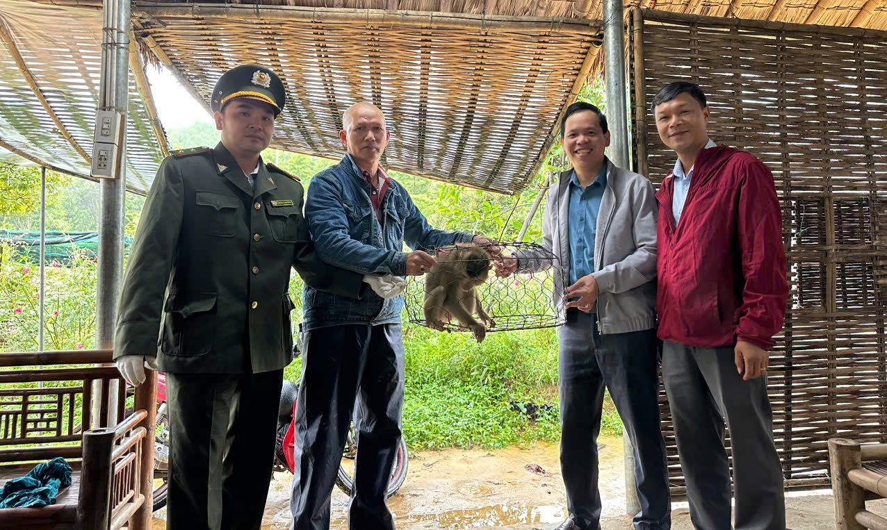 “Lạc bước” vào vườn dược liệu, vị khách đặc biệt bị bắt giữ giao kiểm lâm - Ảnh 1.