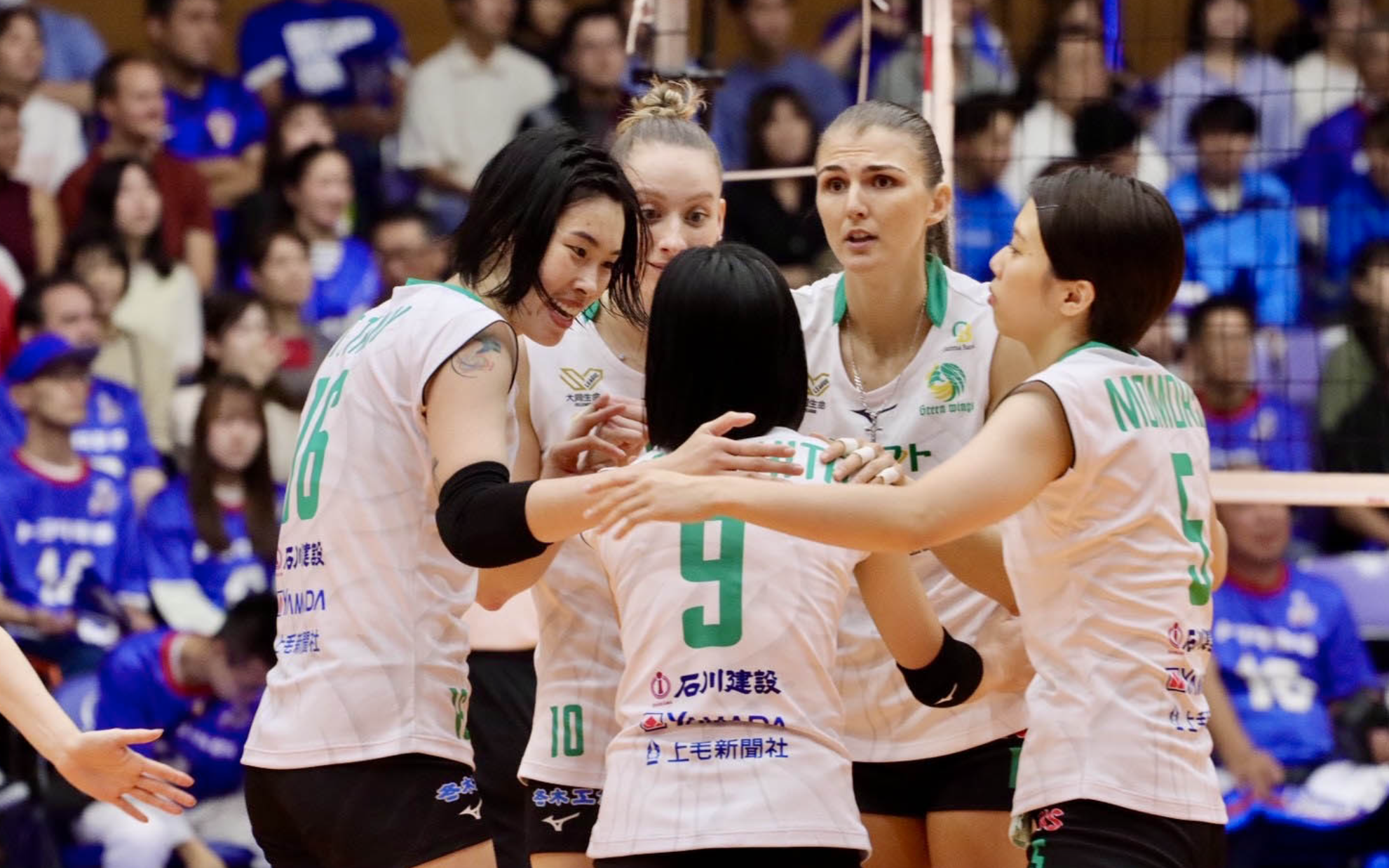 Bóng chuyền nữ Việt biến động về nhân sự - Ảnh 1.