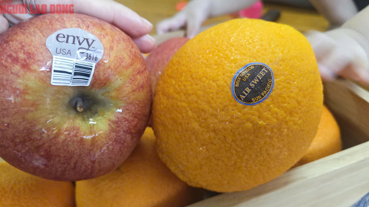 Việt Nam chi hàng tỉ USD nhập khẩu nông sản Mỹ - Ảnh 1.