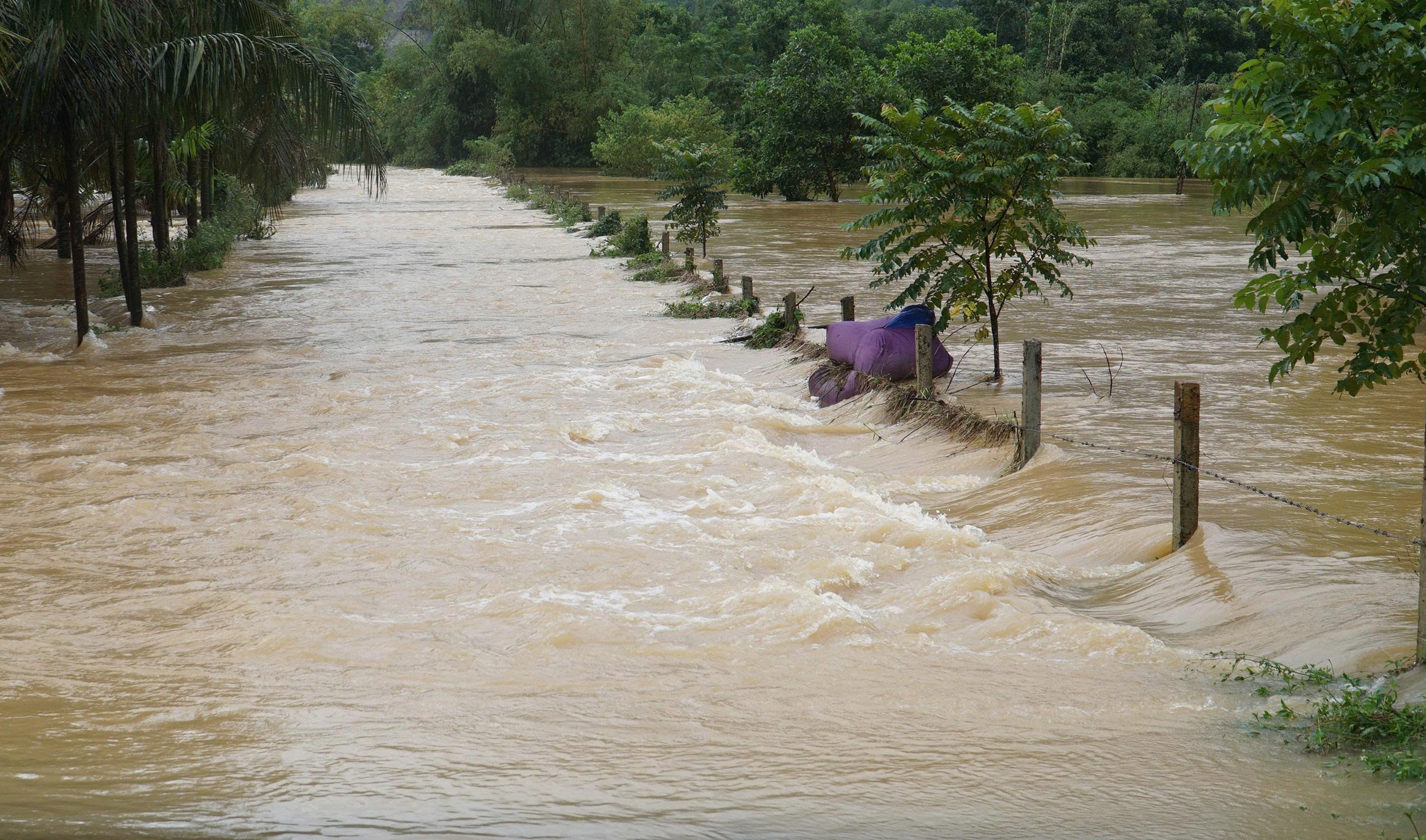 Đà Nẵng: Nữ công nhân tử vong do lũ cuốn khi trở về nhà - Ảnh 4.