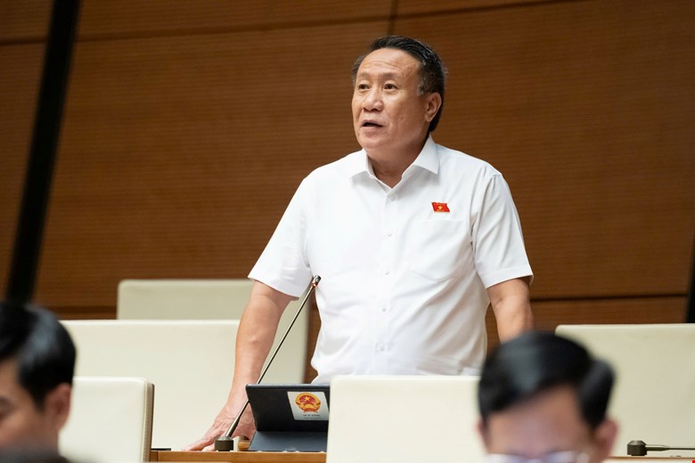 Đại biểu Quốc hội: Tại sao người dân phải đi phô tô sổ đỏ để nộp? - Ảnh 1.