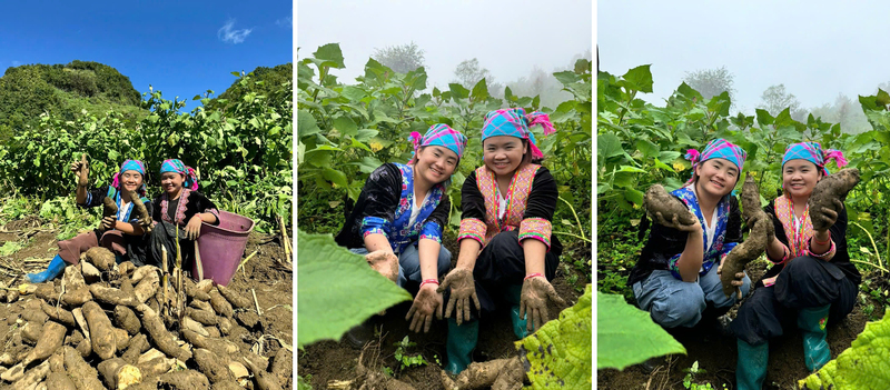 Vừ Thị Xia - Vừ Thị Chứ: Từ mặc cảm tự ti đến "làm chủ" nhờ công nghệ - Ảnh 2.