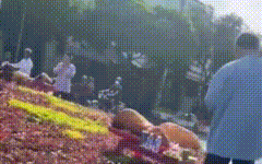 Tìm hướng xử lý tờ vé số trúng độc đắc bị rách - Ảnh 2.