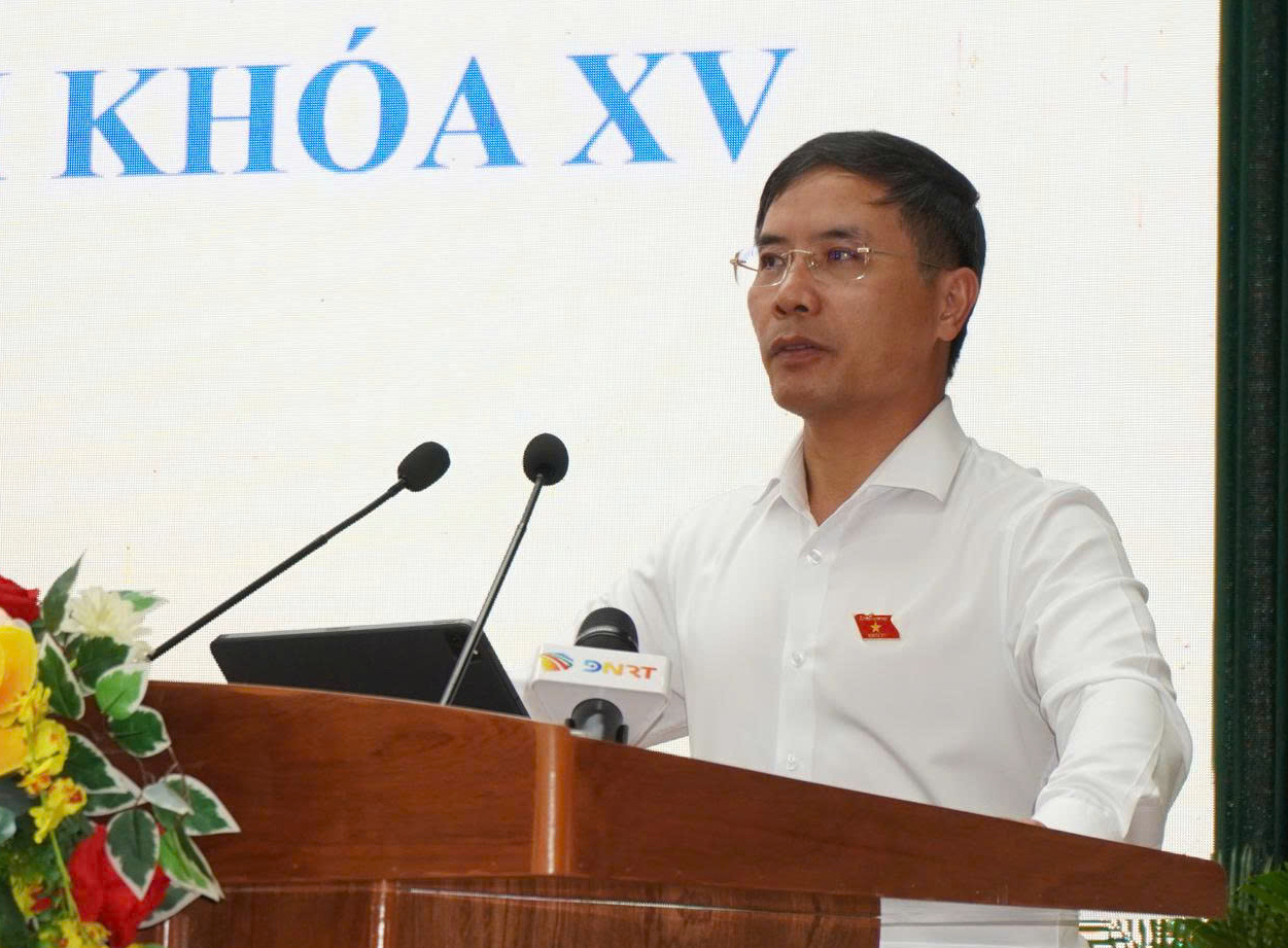 Cử tri Đà Nẵng lo ngại về 5 đảo nhân tạo ảnh hưởng đến môi trường - Ảnh 1.